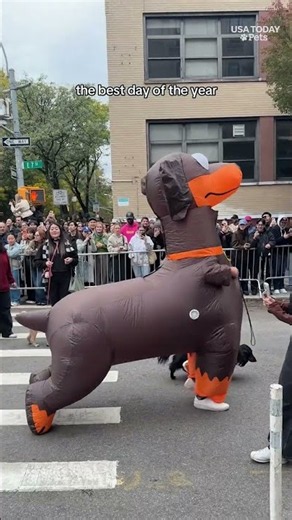 Spooky pups take over the Tompkins Square Halloween Dog Parade