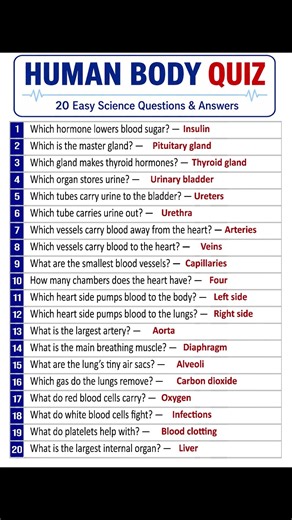 HUMAN BODY QUIZ — 20 Easy Science Questions & Answers