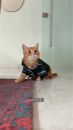 penny wears her brand new PJs!