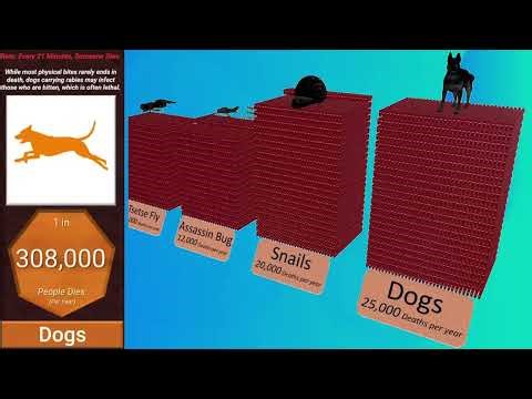 Deadliest Animal Comparison: Probability and Rate of Death