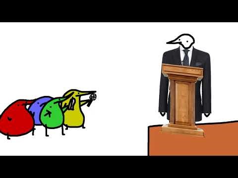 President Berd answers your BURNING QUESTIONS
