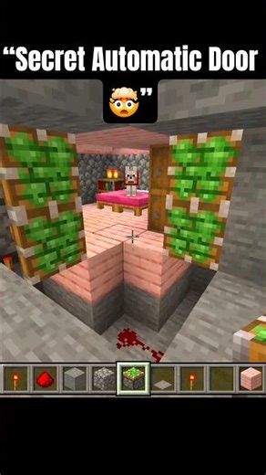 This Hidden Door in Minecraft is Too Smart 💀