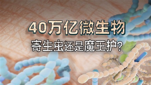 40万亿微生物生活在我们身体上，到底是寄生虫还是魔王护？