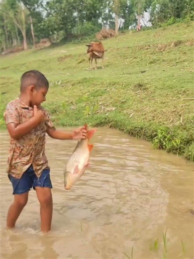 Amazing Traditional Boy Fish Catching By Hand