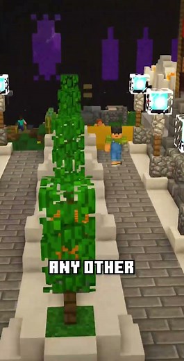 The Biggest Base in #2b2t History