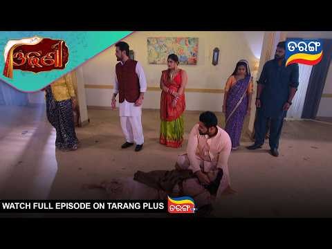Odhani | Ep - 377 | Best Scene | 3rd July 2026 | Odia Serial | Tarang Tv | Tarang Plus