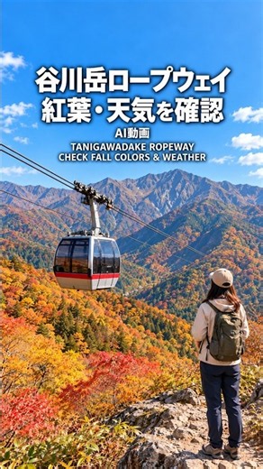 谷川岳ロープウェイ・天神平ライブカメラ｜紅葉・天気・視界を出発前に確認 #ライブカメラ