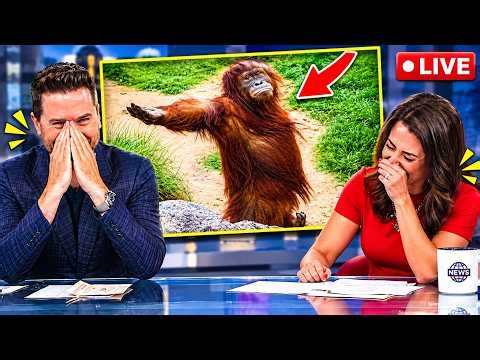 Live News Bloopers That Made Anchors Completely Lose It on Air