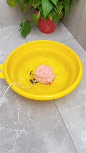 Best Home Gadgets on Instagram: "🧺 Washing small loads still feels like too much work? This mini washing machine with dryer handles deep cleaning for daily clothes without wasting water or time. ✔️ Deep cleaning for small loads ✔️ Built-in drying function ✔️ Perfect for homes, hostels, and travel What would you wash first — daily wear or innerwear? 🛒 Link in Bio 👍🏻 #kimigadgets #miniwashingmachine #laundryhelper #homeappliances #besthomegadgets"