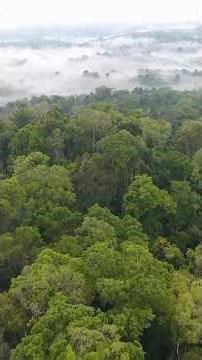 CHINA ESTÁ CAMBIANDO EL CICLO DEL AGUA 💧