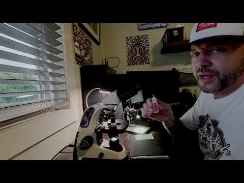 Strange Mushroom in the Microscope- Fungal Microscopy