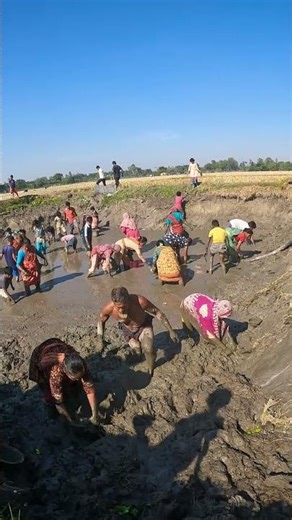 Village People Fishing Together After Pond Dewatering #DeshiFishing #FishingLife