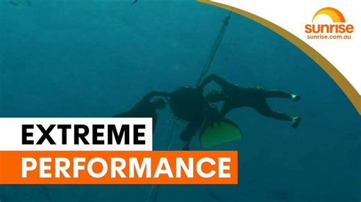 Freediving psychologist conquers Arctic ice to unlock performance secrets