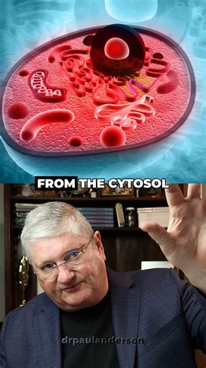 Your Mitochondria Can't Burn Fat Without This One Thing