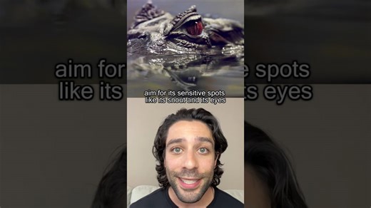 How to survive an alligator attack in the wild