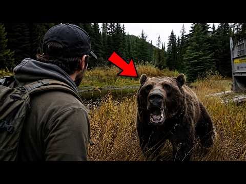 Most Terrifying Bear Charges Ever Caught on Camera!!!