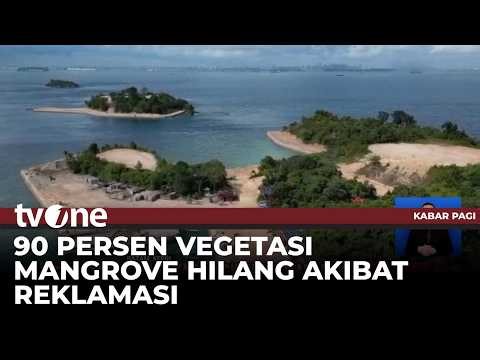 GHLHI Kepri Somasi Pelaku Reklamasi Ilegal Penyebab Kerusakan Mangrove | Kabar Pagi