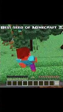best minecraft seed