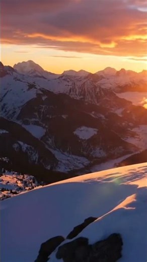 Wild Wolf 🐺 | Powerful Arctic Predator | Cinematic Wildlife Video 4K