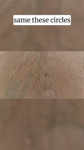 Why Scientists Are Obsessed With These Desert Circles 🧐🌍 #geography #science #shorts