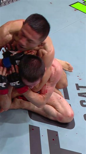 Kyoji Horiguchi is BACK! #ufcvegas113