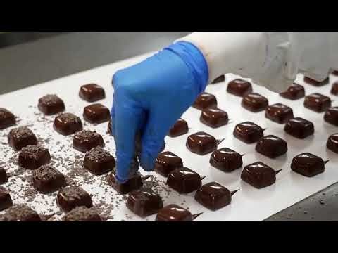 Hershey to bring back real chocolate as cocoa prices slump