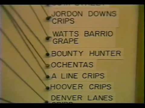 1984 News Report on Los Angeles Gangs and Gang Officers