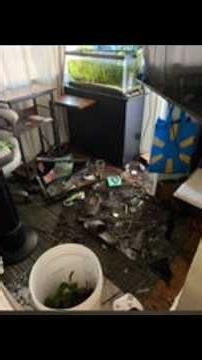 California's earthquake warning system put to the test during 5.6 quake