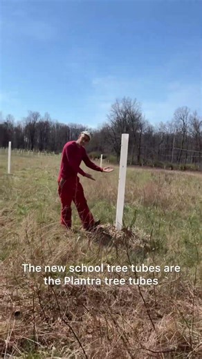 Old School Tree Tubes 👎