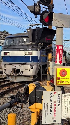 東海道本線 下り EF210-344+タキ 8092レ 八王子→根岸 貨物列車 #東海道本線 #東海道線 #EF210+タキ #八王子→根岸 #貨物列車 #JR線#JR貨物#ECO-POWER 桃太郎