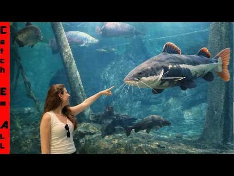 My Giant PET FISH is in the ZOO!
