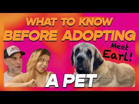Everything You Need to Know Before Adopting A Pet