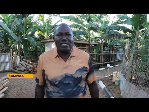 Agri-Tourism Gains Momentum in Uganda as Investors Blend Farming with Tourism