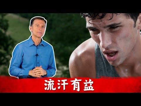 流汗益處, 吃少鹽好嗎？如何避免腎結石,抽筋,減壓,降血壓?柏格醫生 dr berg