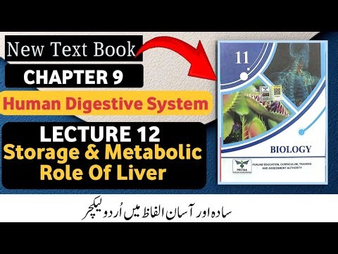 Class 11 Biology New Book 2025 | Chapter 9 | Storage & Metabolic Role of Liver
