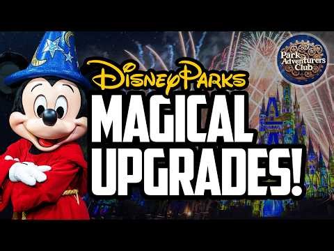 Desserts, Dinner & Fireworks: The Ultimate Guide to Disney's Premium Viewing Experiences!