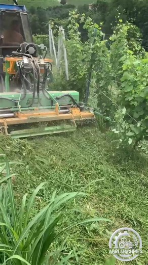Rotary Variable Mower RAS/3 COMPACT At Work || For Orchards & Vineyards | #orchard #vineyard #shorts