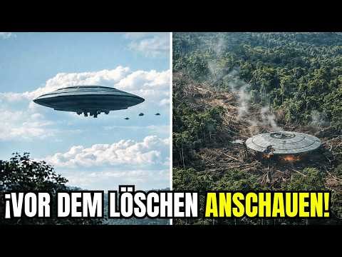 UFO-Landung im Amazonas! Was daneben gefunden wurde, sprengt alle Erklärungen