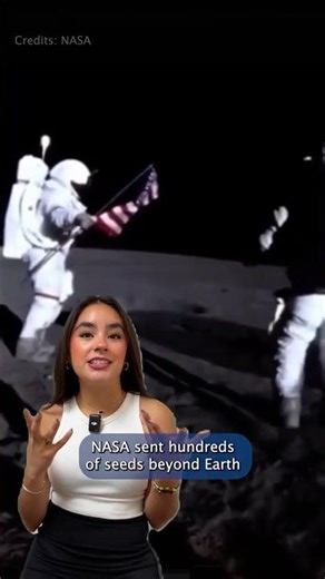 This Campus Tree Went To The Moon