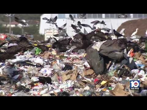 ‘Super charcoal’ could divert waste from South Florida landfills