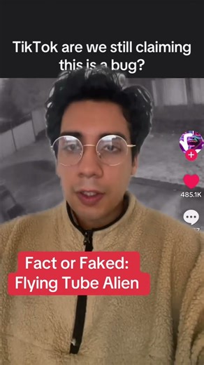 The Tube Alien: A Hoax or a Genuine Extraterrestrial?