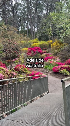Adelaide, a reminder that this is what the Adelaide hills looks like right now!! 😱😱 . . . . . #adelaide #adelaidehills #adelaideaustralia #adelaidefoodie #mountlofty things to do in Adelaide, things to do, cute date idea