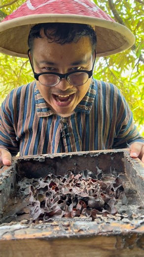 ASMR Drinking Wild Stingless Bee Honey Pots - 192 🍯 #shorts