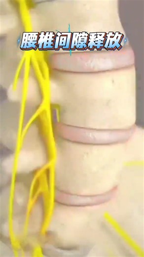 Middle-Aged Fitness: Easy Stretching Exercises at Home