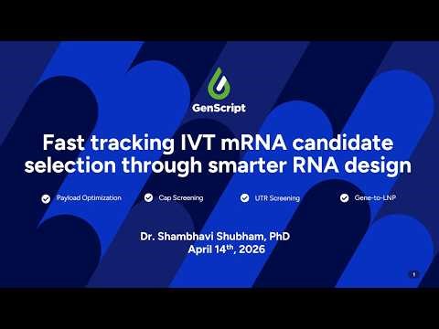 Fast Tracking IVT mRNA Candidate Selection Through Smarter RNA Design