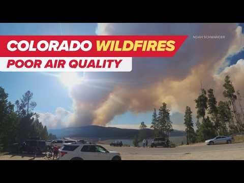 Wildfire smoke combined with ozone can make air pollution even more harmful, health expert says