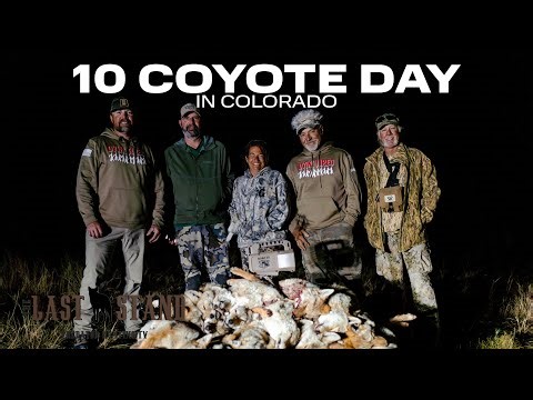 A 10 Coyote Day in Colorado - The Last Stand S8:E7