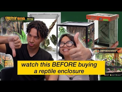 The 5 Best Vivarium Tanks (And Which One Is Right For You)