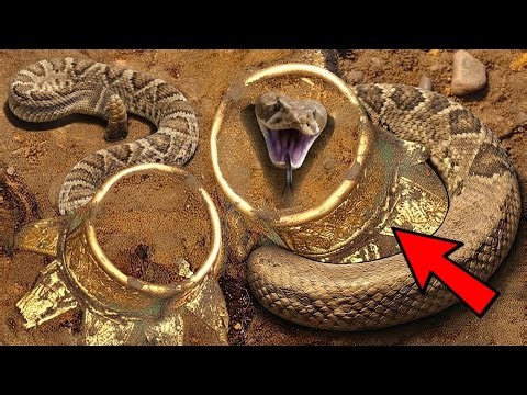 Top 3 Treasures Found By Chance With Metal Detector