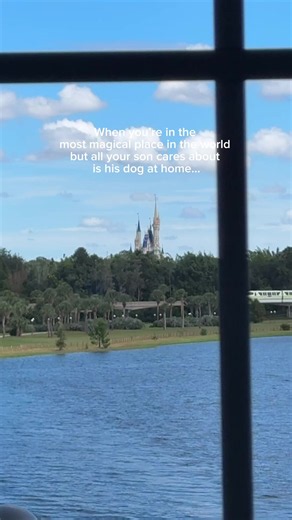 Beau and Bruce at Disney World: Mimi is Spoiling Them